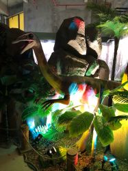 -恐龙探索乐园(磁器口店)