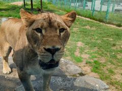 -鄂尔多斯野生动物园