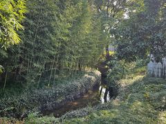 -兰亭风景区