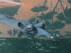 -鄂尔多斯野生动物园