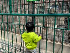 -保定市动物园
