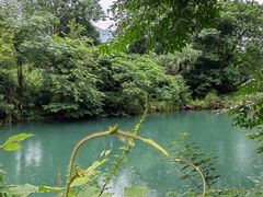 -龙坞茶村