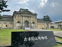 -奈良公园