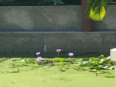 -东江渔村·古典园林·30年粤菜老字号(太和店)