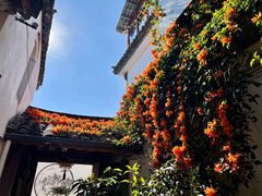 -龙姐私房菜(和顺古镇店)