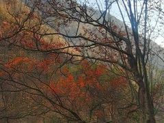 -叠溪松坪沟景区