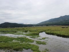 IMG_2825-腾冲北海湿地