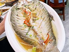 -源水鱼庄·翘嘴鲌店·老字号