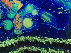 -天津梵高星空艺术馆(天河城旗舰店)