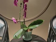 -杭州西湖柳莺里酒店·闻莺厅