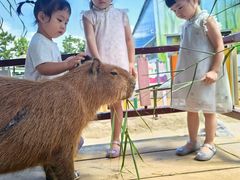 -西霞口神雕山野生动物世界