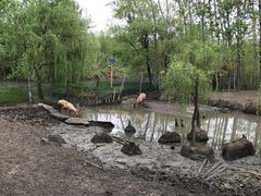 -溱湖国家湿地公园