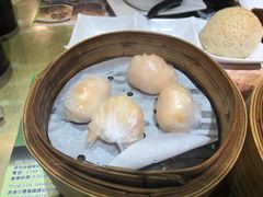 晶莹鲜虾饺-添好运点心专门店(北角店)