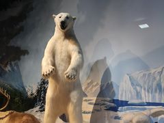 -陕西自然博物馆