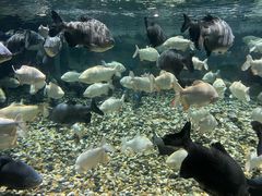 -成都浩海立方海洋公园