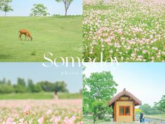 -良渚古城遗址公园