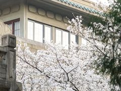 -武汉大学-樱园