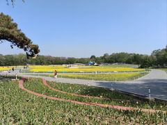 -北陵公园