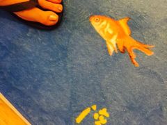 iphone_upload_pic-香港港岛英迪格酒店