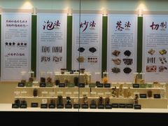 -广东中医药博物馆