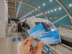 -龙阳路磁悬浮列车总站-停车场