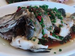 -金海湾海鲜排档(朱家尖店)