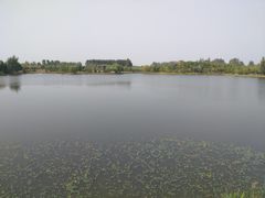 -东郊湿地公园