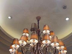 -沪碟·精菜坊(闵行店)