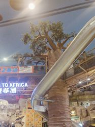 -卡通尼·Safari非洲探索乐园·生日会(金桥国际商业广场店)