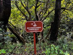 -马峦山郊野公园