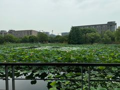 -3W咖啡(国家软件园店)