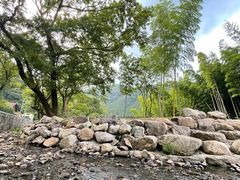 -北仑森林植物园