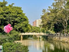 -晓港公园
