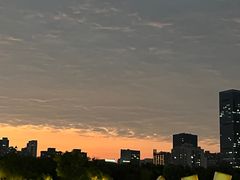 -武汉两江游览·夜游长江(汉口粤汉码头)
