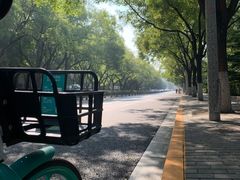 -护国寺小吃(和平西街店)