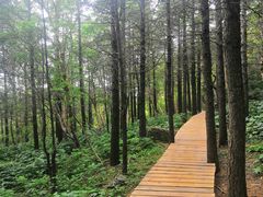 -白草畔自然风景区