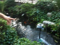 景观位-川流不息(北蔡休闲广场店)