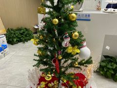 -新航道雅思托福·留学·考研培训(人民广场校区)