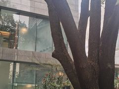 -上海虹桥祥源希尔顿酒店
