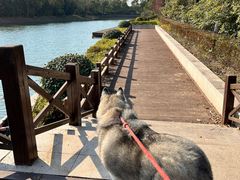 -上海海湾国家森林公园