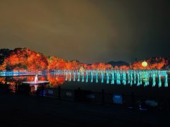 -印象西湖·最忆是杭州实景演出