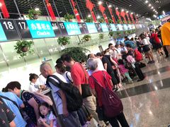 -吴淞口国际邮轮码头-停车场