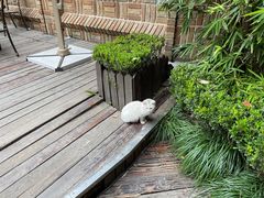 -马勒别墅·中餐厅