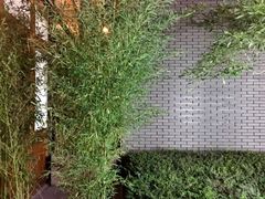-成都博舍酒店