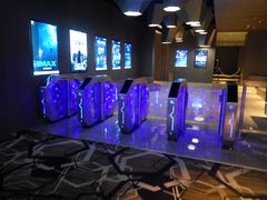 -星河寰宇IMAX影城(星河WORLD·COCO Park店)