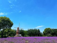 -北戴河转鱼·炒螃蟹酱餐厅