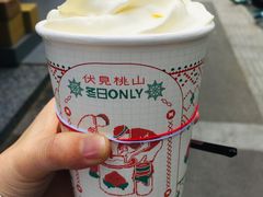 -伏小桃(明瓦廊店)