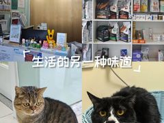 -纳吉亚猫专科动物医院博雅分院