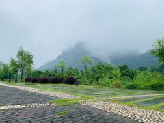 -九龙湾·御膳坊(九龙窠路店)