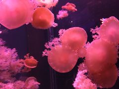 -多彩贵州城极地海洋世界